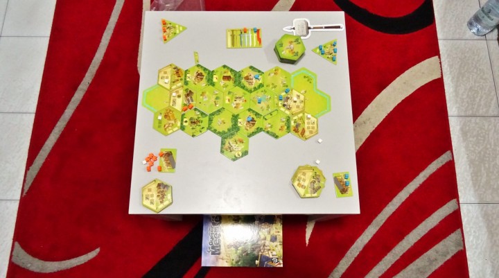 DSC00311 La Guerra dei Meeple