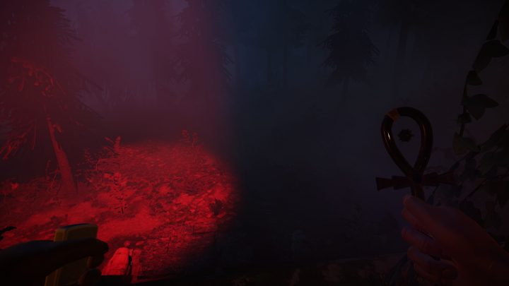 seeking evil: the wendigo