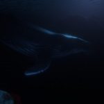 humpback in moonlight