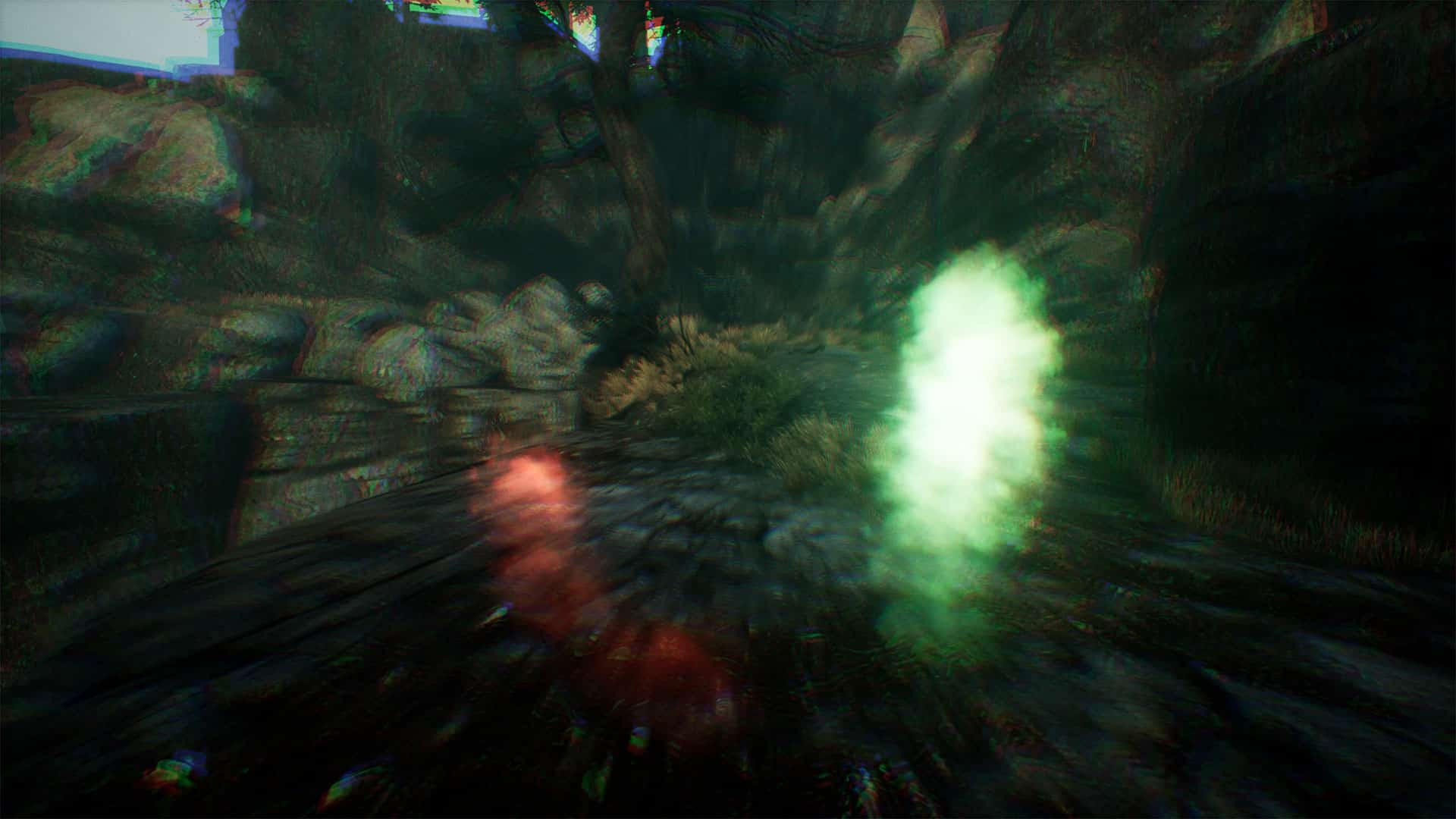 The Dead Tree of Ranchiuna