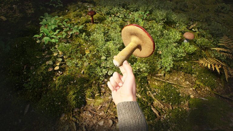 Mushroom Hunter Simulator